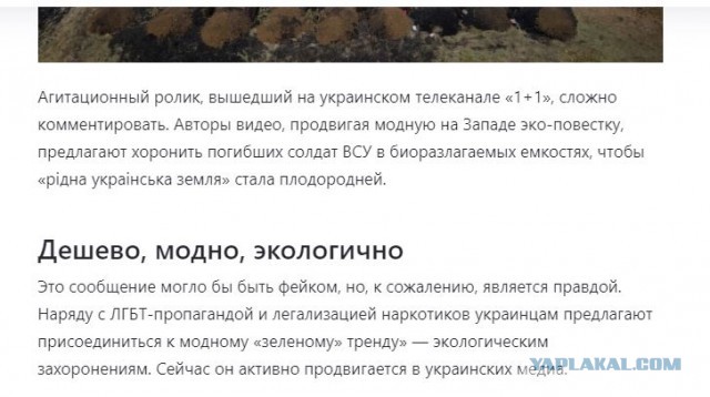"Дура и просто не понимает"
