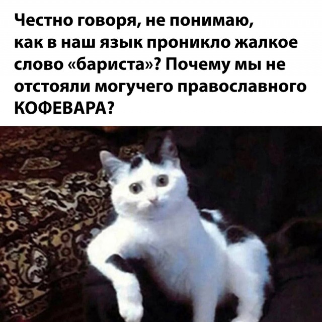 Весёлый полтишок 06.12.24