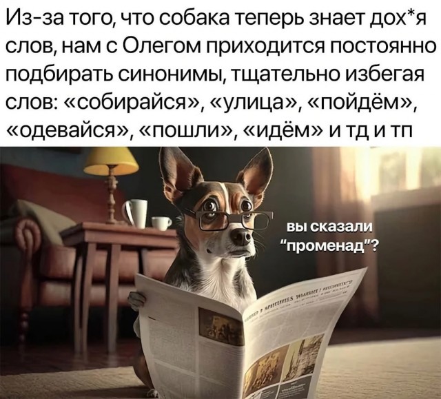 Так себе картинки 02.02.25