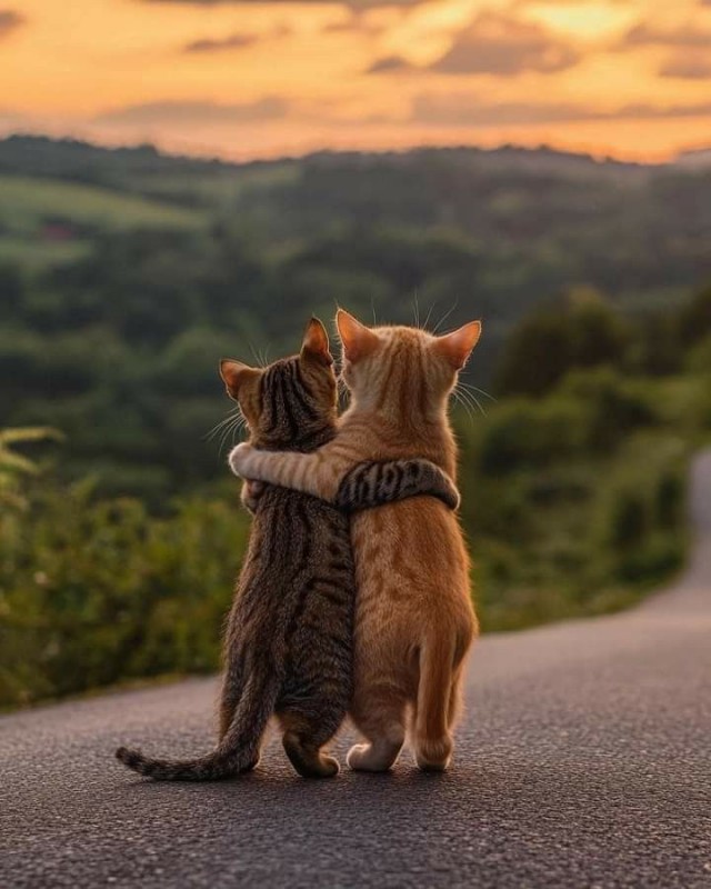 Прикольные и просто красивые картинки 04.04.2025