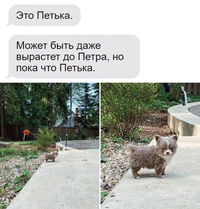 Юмор в буквах за день и неприятный человек