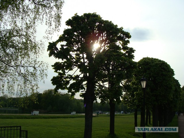 Кусково 15.05.2025