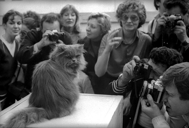 Каким был СССР в 1975 году? Фотоподборка