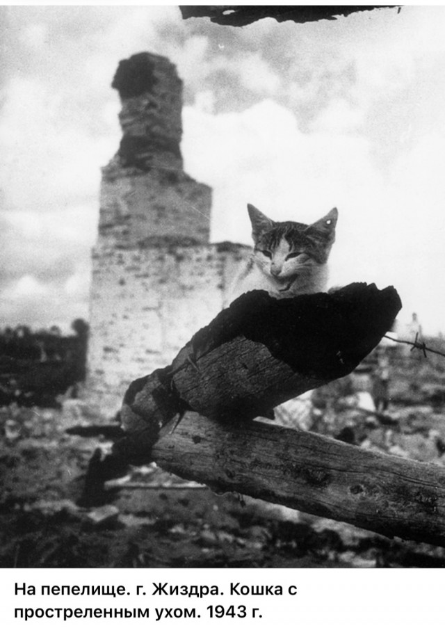 ​ Фотографии из прошлого нашей страны – 115