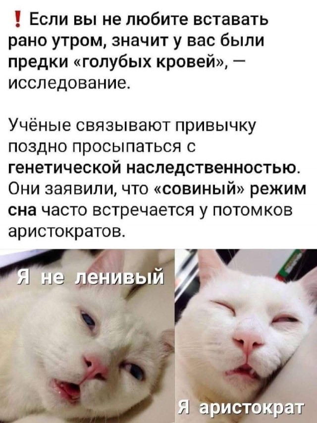 Картинки для деградации 26 (разной степени свежести)
