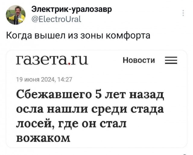 Картинки для деградации 54 (разной степени свежести)