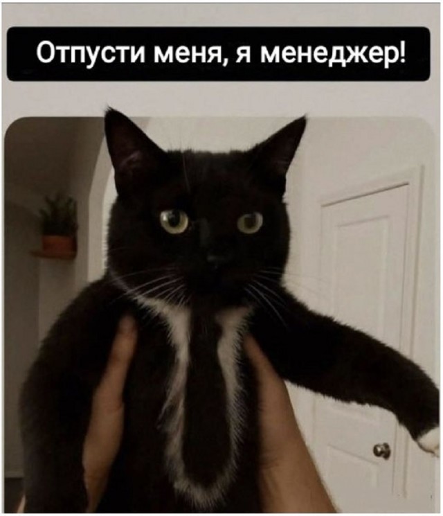 Так себе картинки 31.12.25