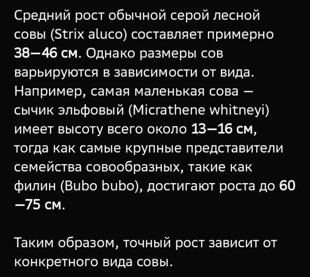 В Москве нашли аккаунт парня, у которого рост 205 сантиметров — он показывает, как ему живется в столице