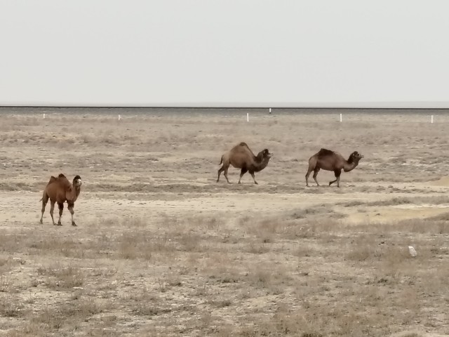 Очередной объект