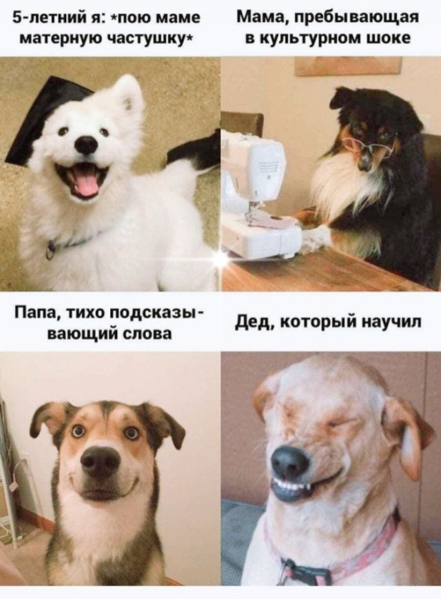 Картинки для деградации 174 (разной степени свежести)