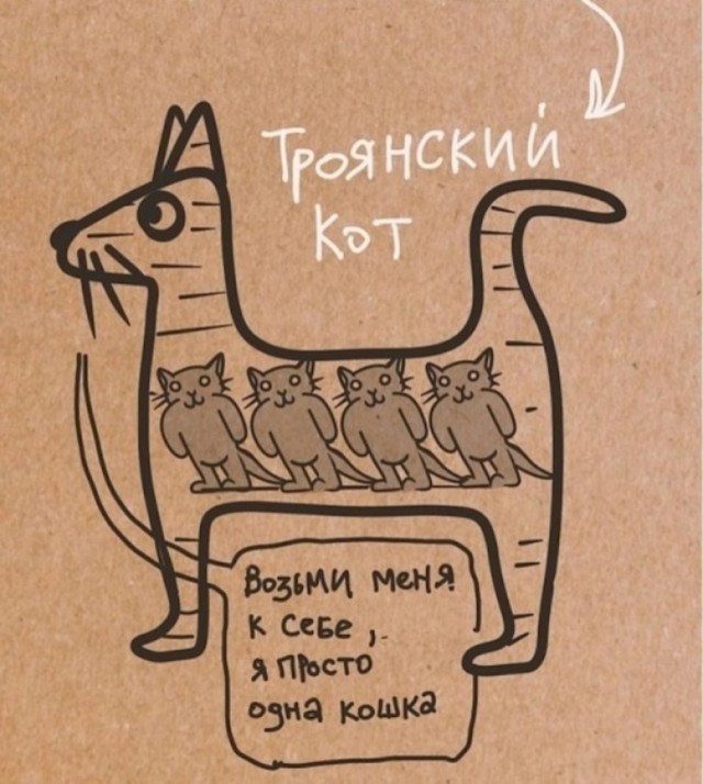 Котят кому? В хорошие руки.