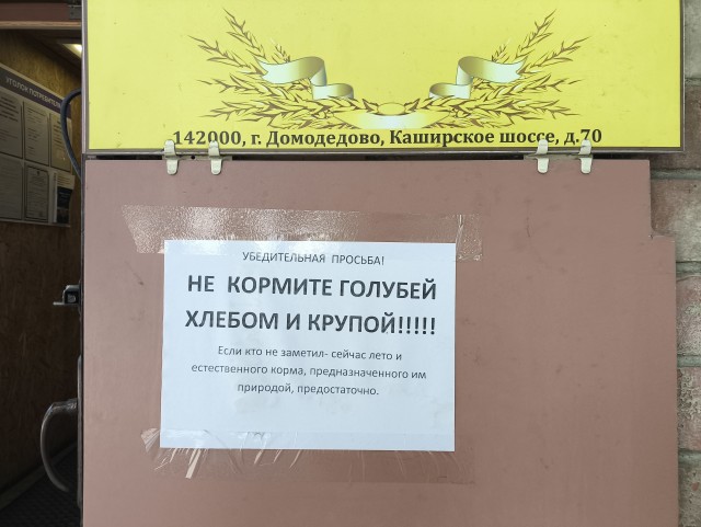 Объявленице