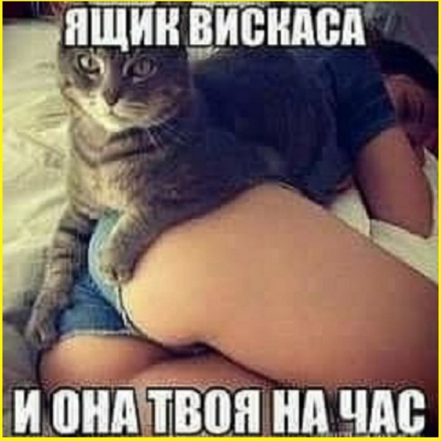 Понедельниковые тРРРидцать тРРРи