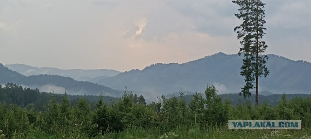 Моя первая поездка на Алтай