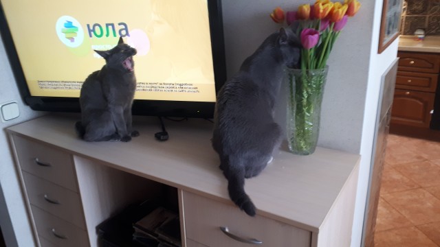 Доброе утро
