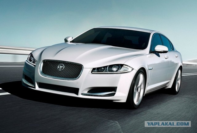 Органолептическое исследование Ягура (Jaguar)