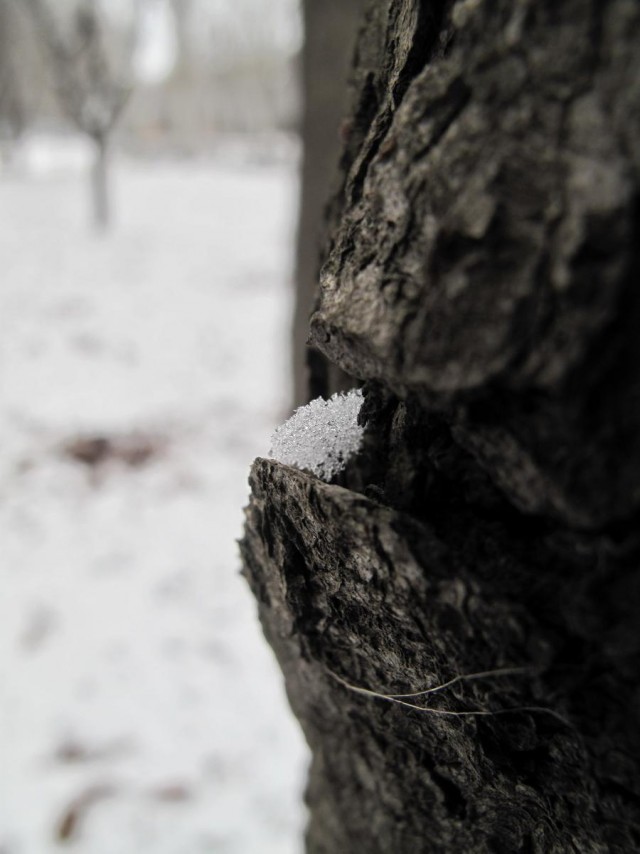 А у нас за окном...