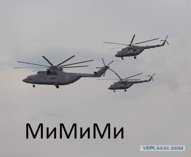 Маленькая ласка.