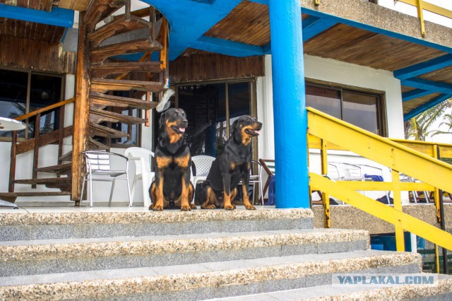 Остров Сан-Андрес