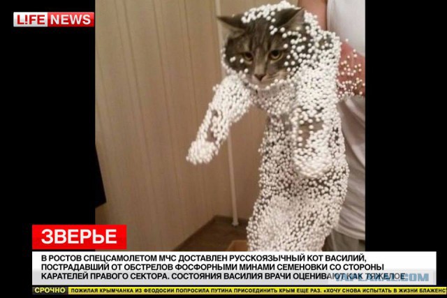Россия заявила протест ...