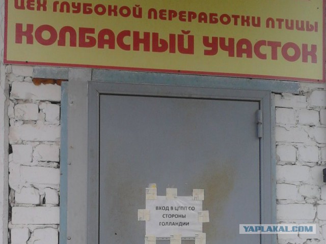 Надписи и объявления с просторов
