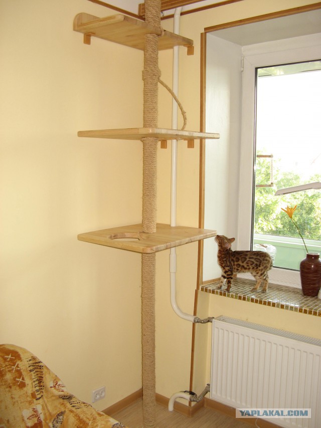 КОТкин дом