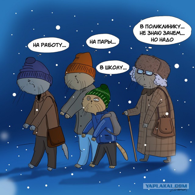 "Стой в очереди, как все!"