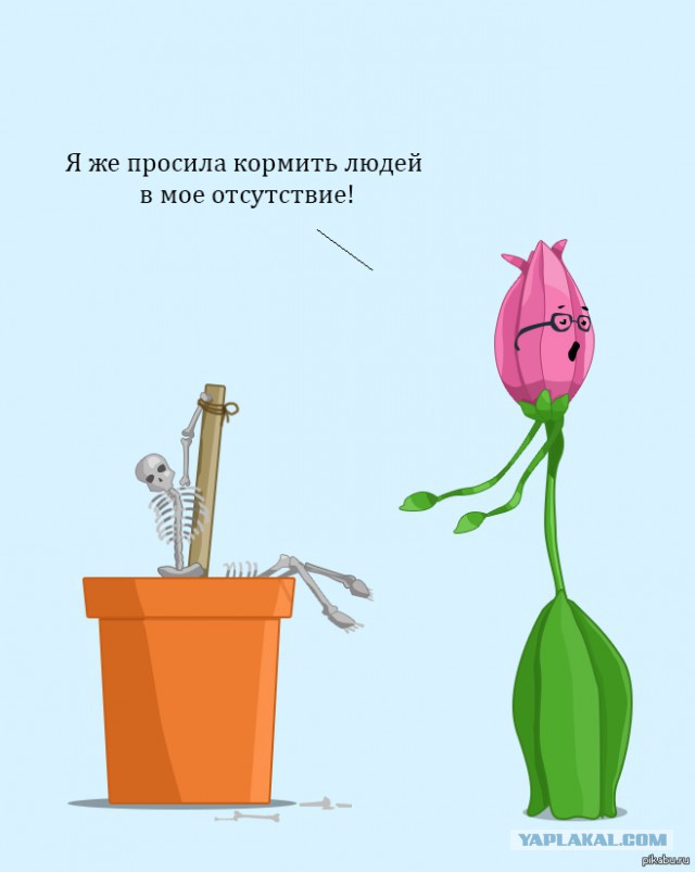 9 картинок из параллельной вселенной