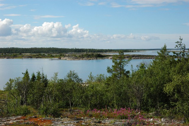 Деревенская Америка