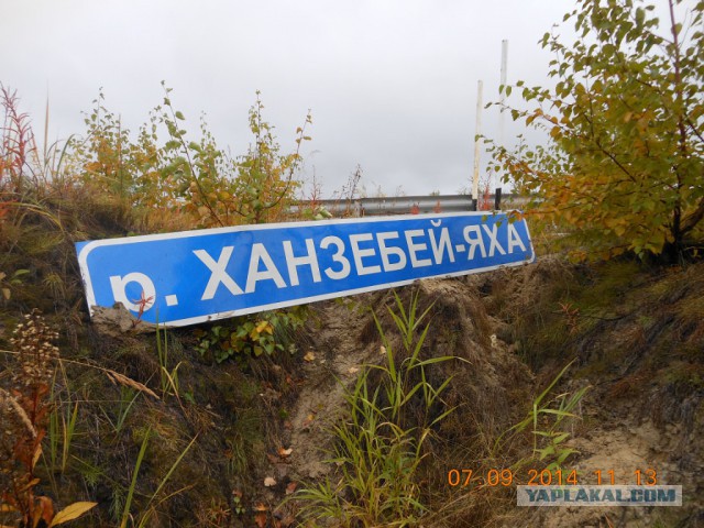 Информационные знаки на дорогах Ямала
