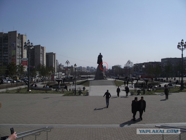Вот это зумм...