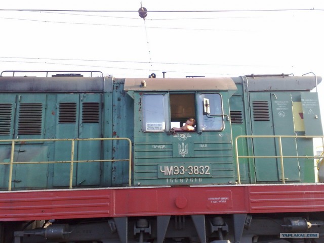 ТЧЭ