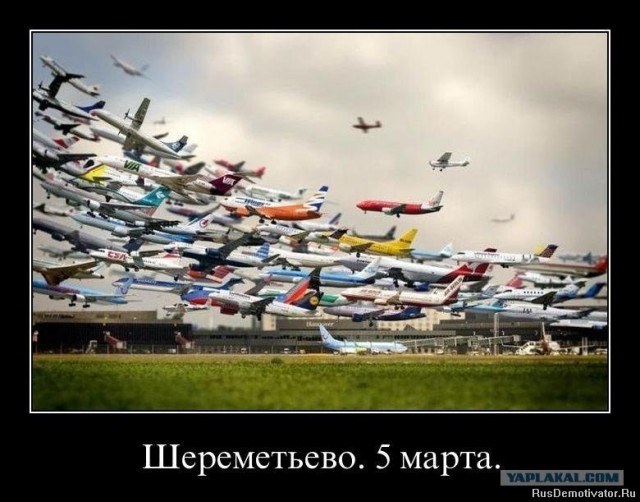 За кого голосовали? Выборы 2012