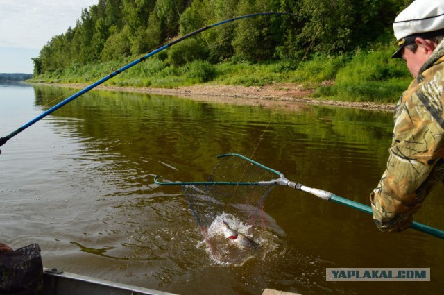 Плот.