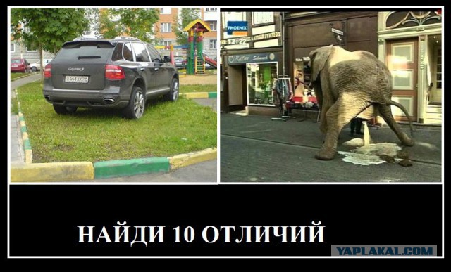 Снайпер расстреливает неправильно припаркованные автомобили в Петербурге