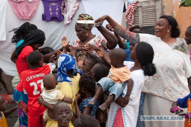 Как выглядят «голуби» в разных странах мира
