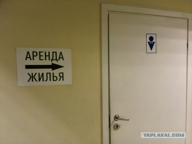 Случайные картинки