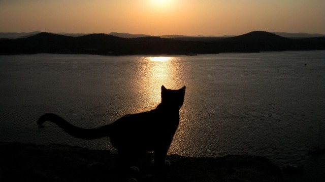 Море покинутых кораблей