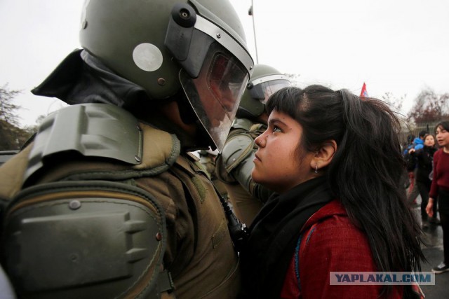 Глаза в глаза: демонстрантка и полицейский