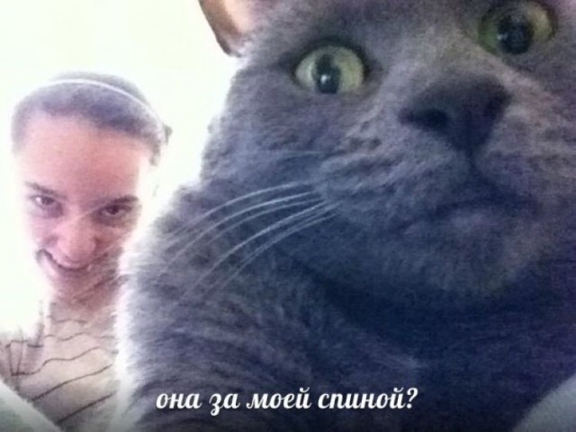 Юмор не для всех