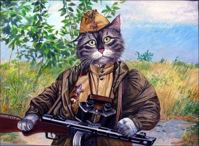 Кот спас курицу