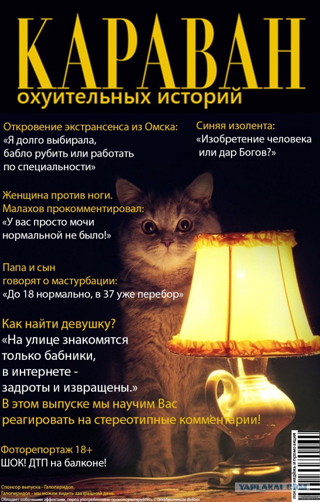 Инъекции в пенис или как я провожу время.