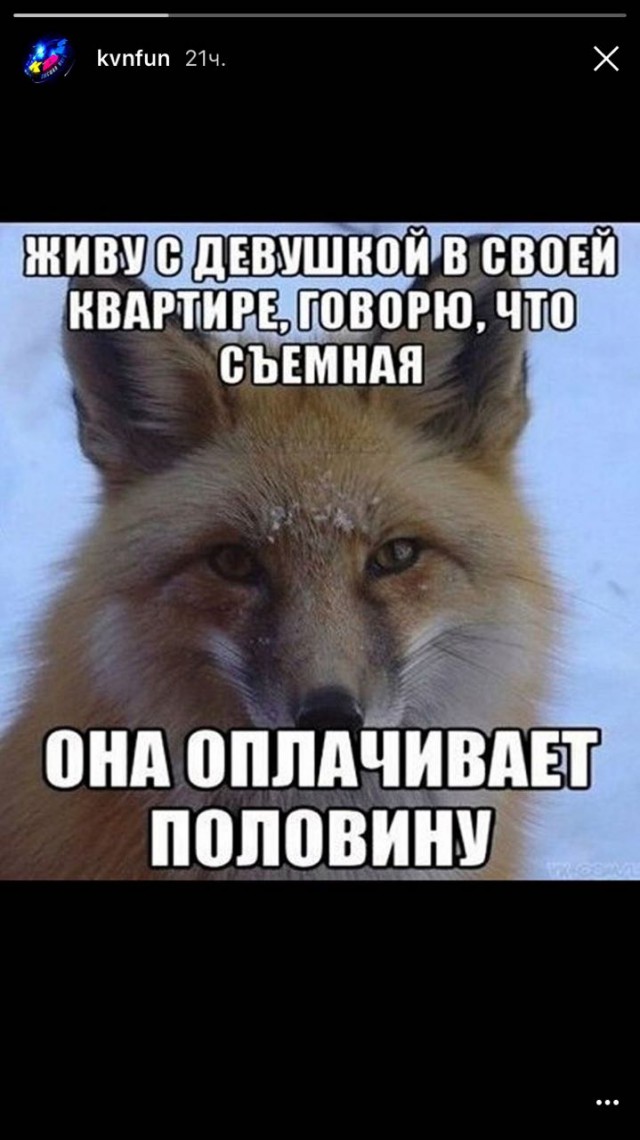 Веселые картинки и скриншоты