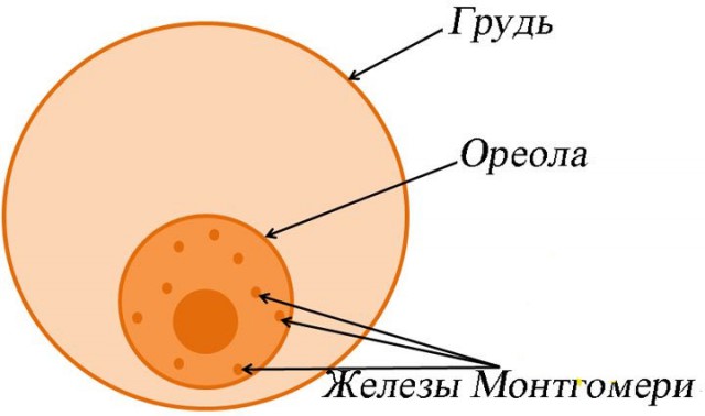 За что так ненавидят СССР?