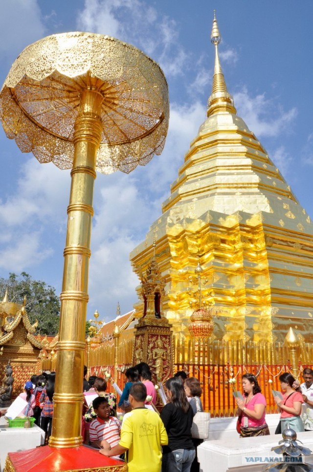 Чианг Май. Жемчужина Севера.