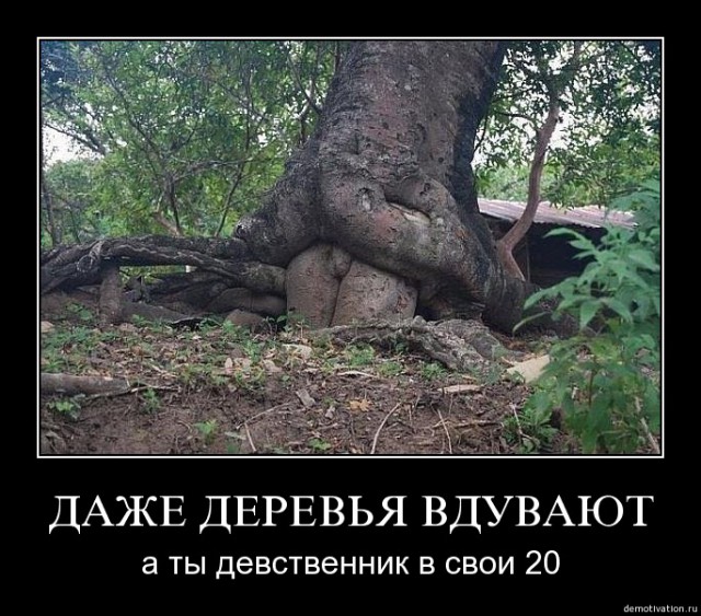 Немного пошлости на вечер субботы