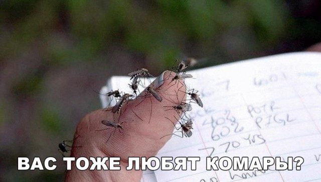 Прикольные картинки абавсём