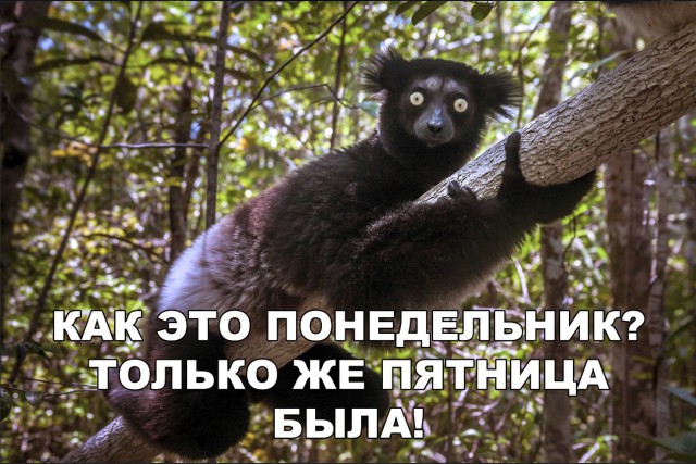 Нестандартный юмор