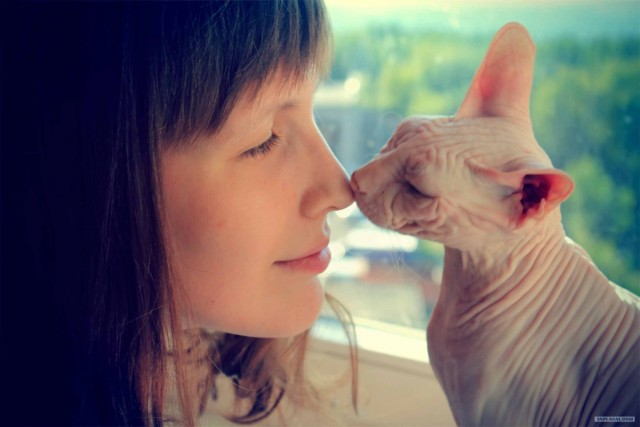 Котовторник  28.08.12