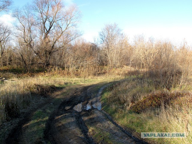 Красота сельских дорог